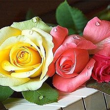 Схема вышивки «№1298347»