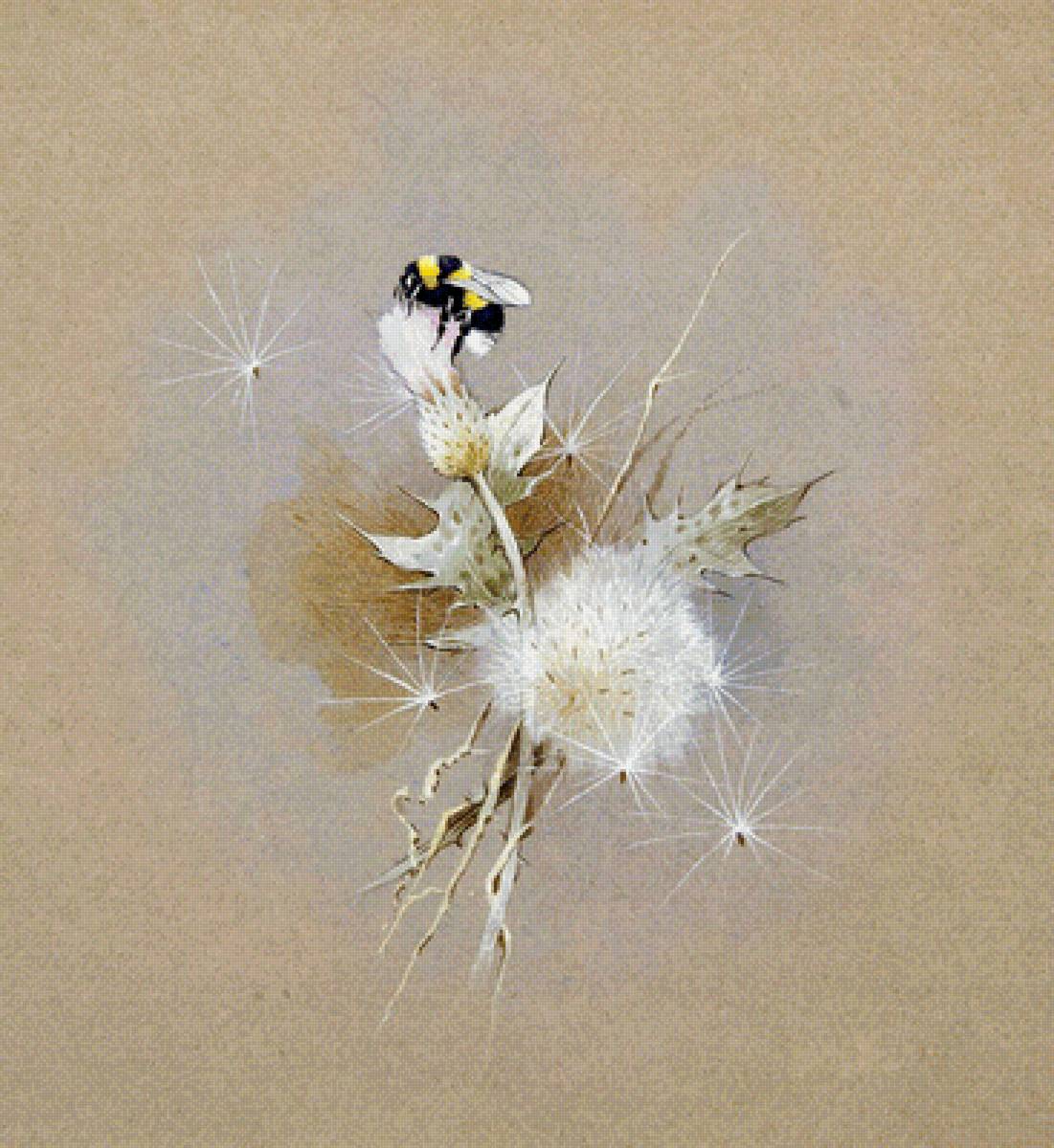 Чертополох - цветы, художники - предпросмотр