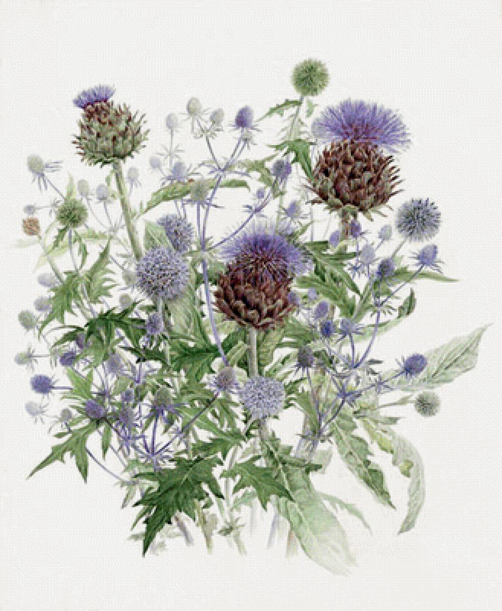 Чертополох 2 - цветы, художники - предпросмотр