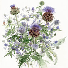 Чертополох 2