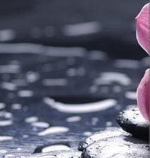 Схема вышивки «цветок 1»