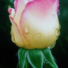 Схема вышивки «Роза»