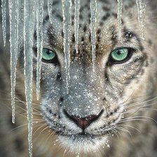 Схема вышивки «222»