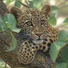 Схема вышивки «223»