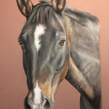 Схема вышивки «№1299454»