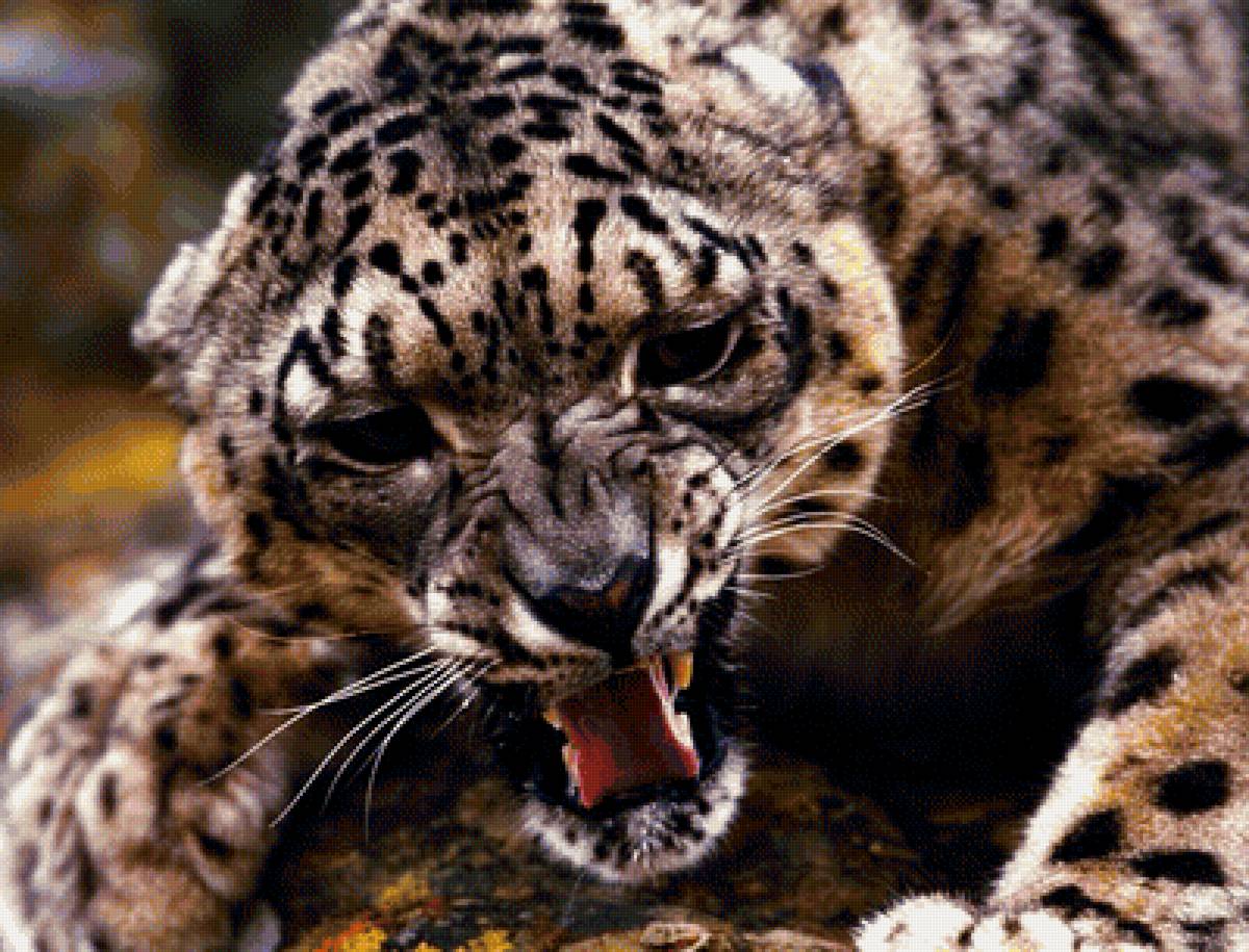 гепард - животные - предпросмотр