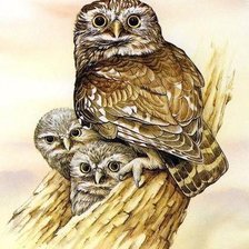 Схема вышивки «№1299856»