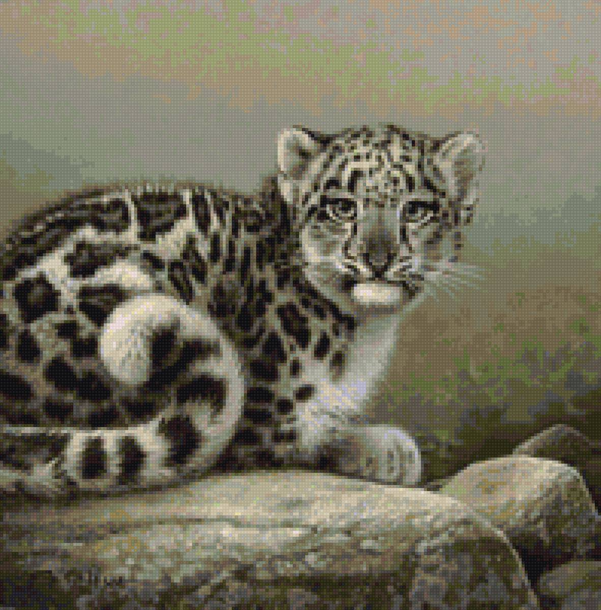 Маленький снежный барс - снежный барс, животные - предпросмотр