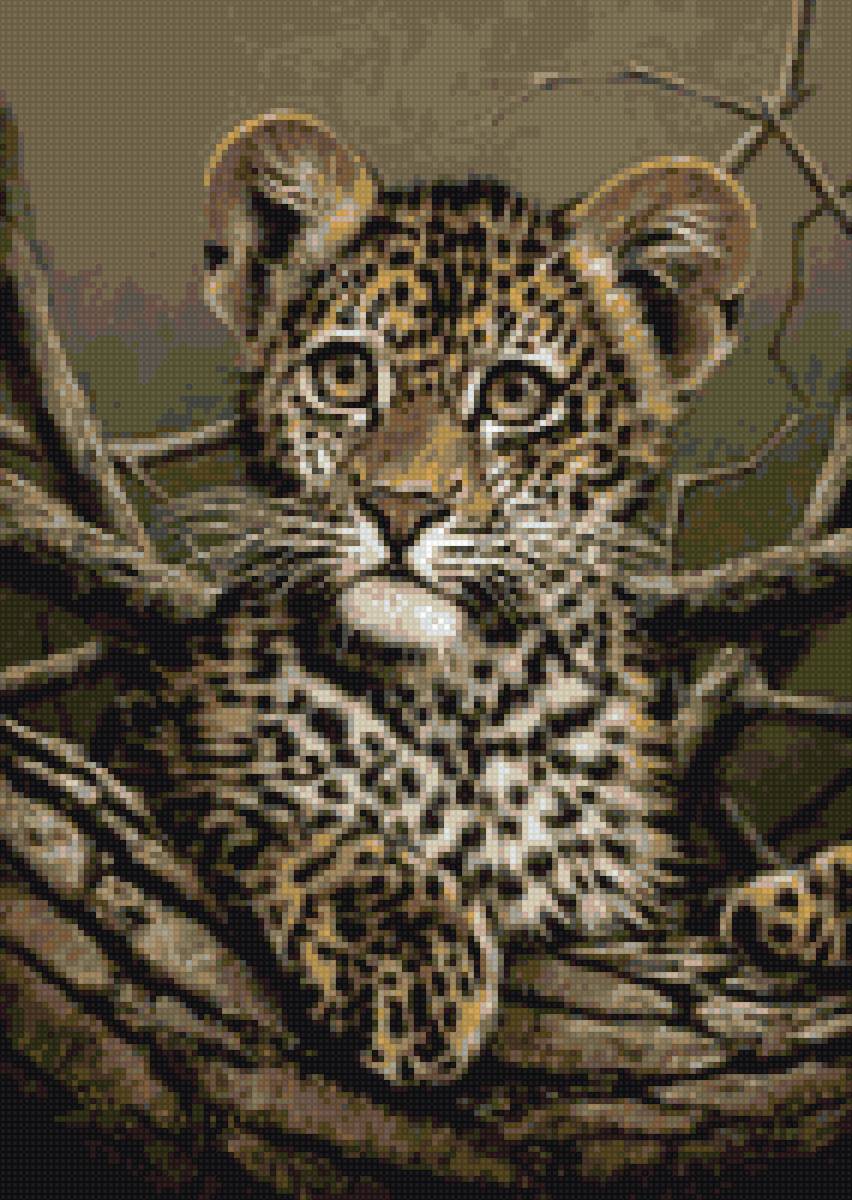 Маленький леопард - животные, леопард - предпросмотр