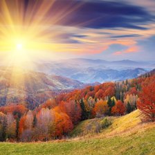 Схема вышивки «природа»