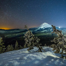 Схема вышивки «природа»