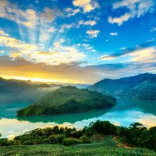 Схема вышивки «природа»