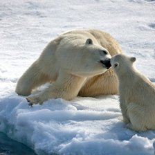 Схема вышивки «природа»