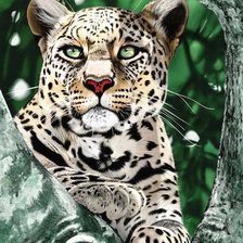 Схема вышивки «№1300137»