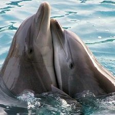 Схема вышивки «дельфиньчики»