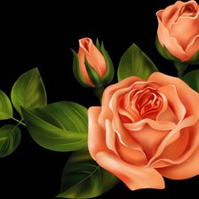 Схема вышивки «№1300159»