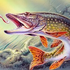 Схема вышивки «214»