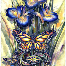 Схема вышивки «MOTYL»