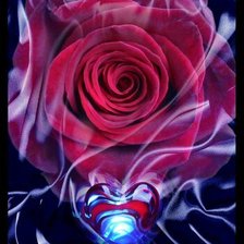 Схема вышивки «роза в огне»