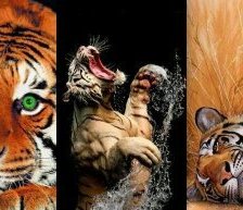 Схема вышивки «подборка»