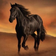 Схема вышивки «конь»