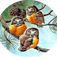 Схема вышивки «Совята»