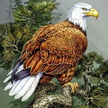 Схема вышивки «Орел»