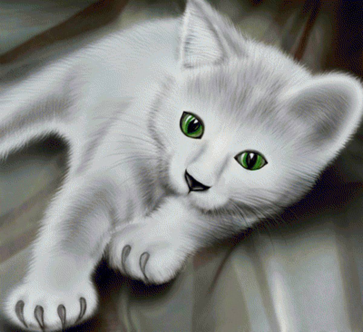 Котенок - коты, котенок, животные, кот - предпросмотр