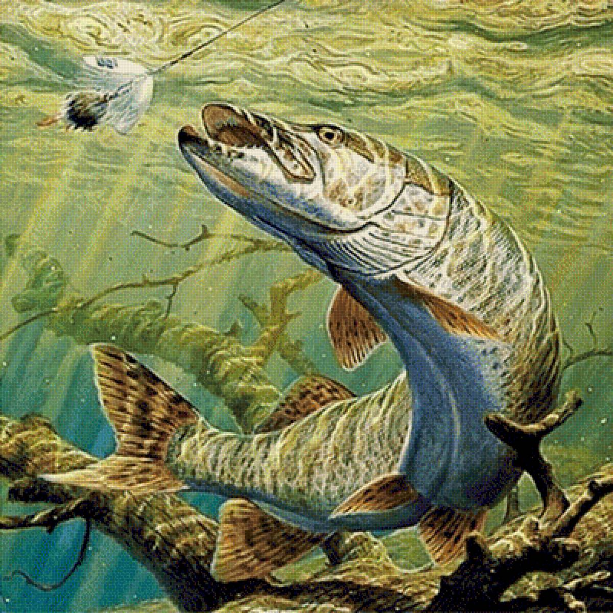 322 - предпросмотр