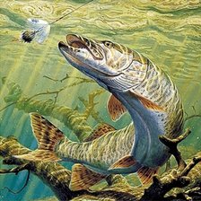 Схема вышивки «322»