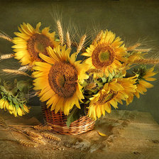 Схема вышивки «подсолнухи»