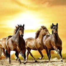 Схема вышивки «лошади 3»