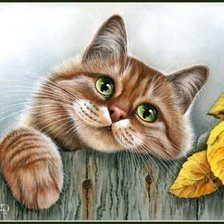 Схема вышивки «324»