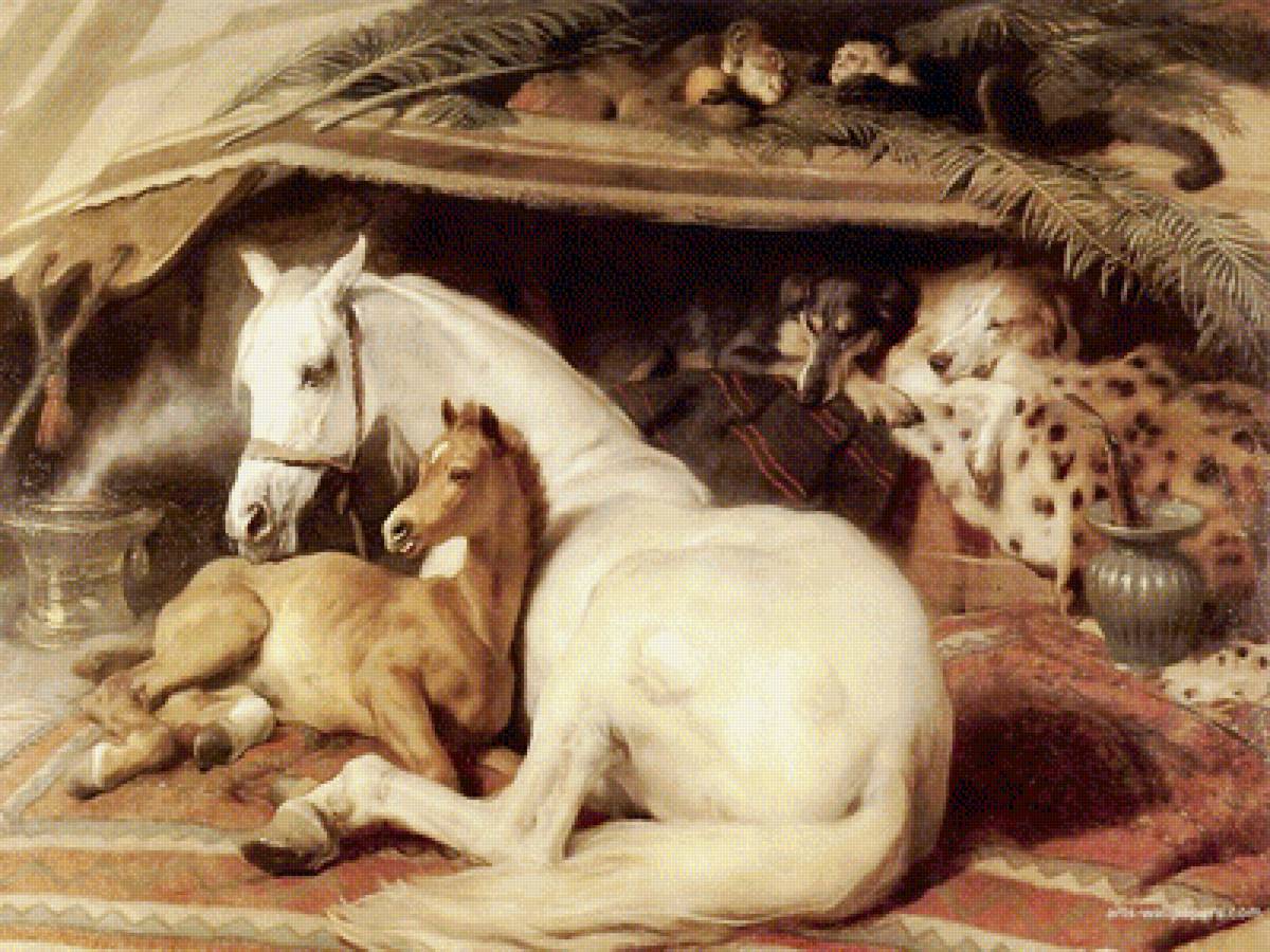 Арабская лошадь - предпросмотр