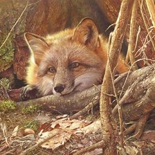 Схема вышивки «331»