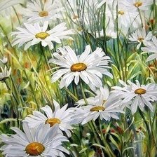 Схема вышивки «Ромашки»