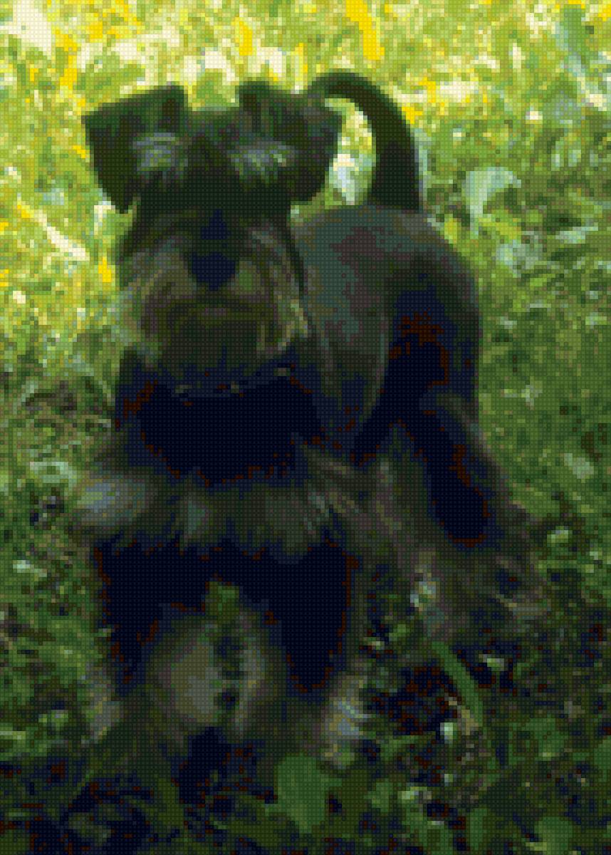 Дерик3 - предпросмотр