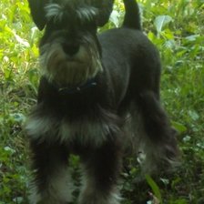 Схема вышивки «Дерик3»