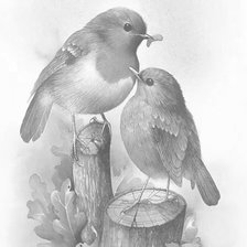 Схема вышивки «№1303264»