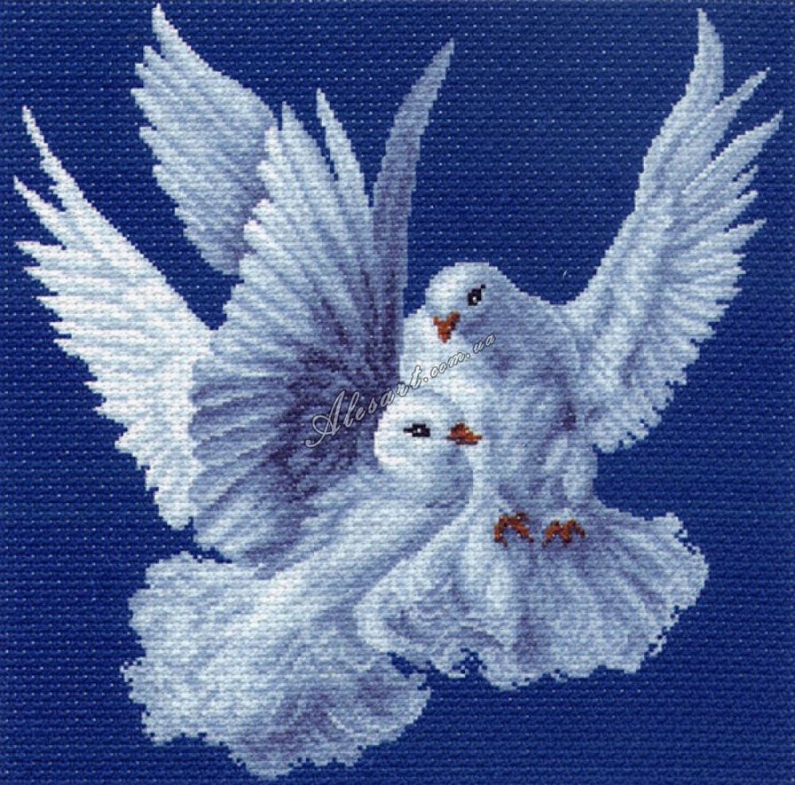 голуби - животные птицы - оригинал