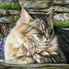 Схема вышивки «котик»