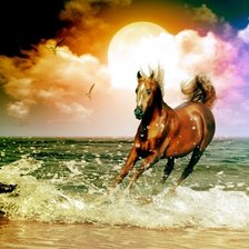 Схема вышивки «Quỳnh»