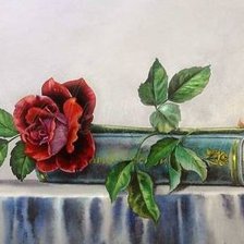 Схема вышивки «натюрморт»