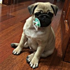 Схема вышивки «Сэмик»