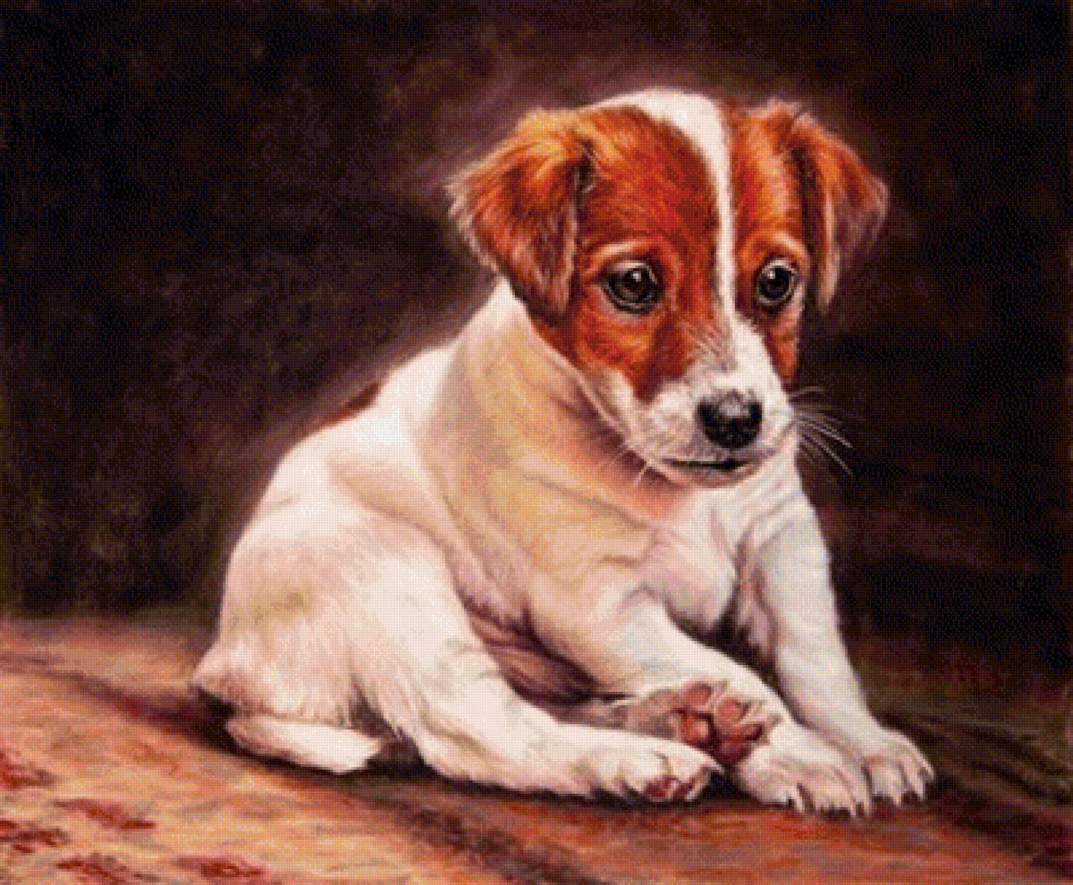 №1304106 - предпросмотр