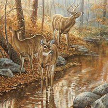 Схема вышивки «342»