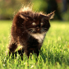 Схема вышивки «маленький охотник»