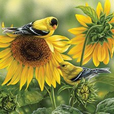 Схема вышивки «цветы и птицы»