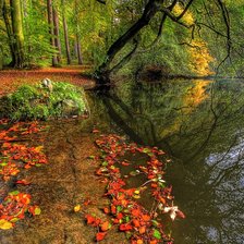 Схема вышивки «колдовство осени»