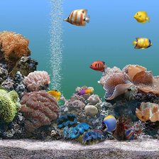 Схема вышивки «Аквариум»